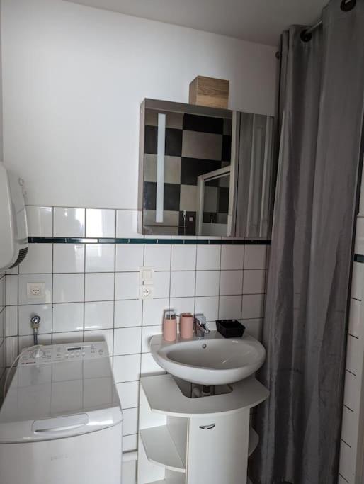 Appartement Plein Centre Saint Die Des Vosges 外观 照片