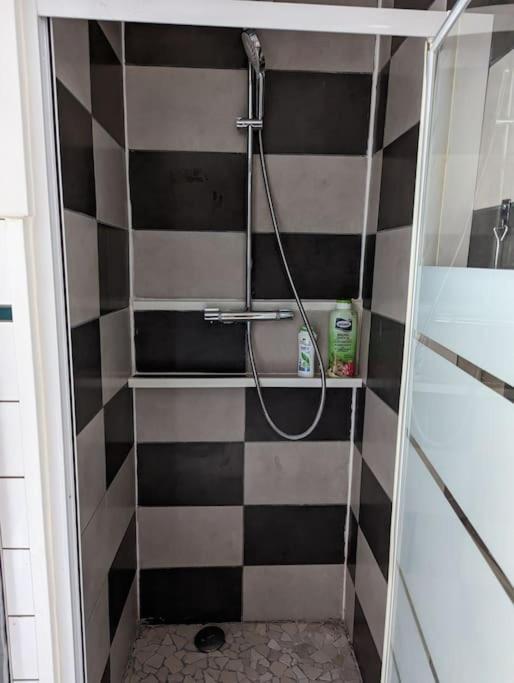 Appartement Plein Centre Saint Die Des Vosges 外观 照片