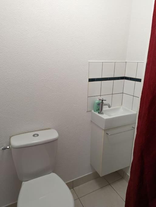 Appartement Plein Centre Saint Die Des Vosges 外观 照片